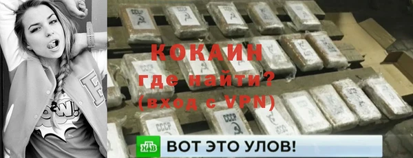 прущие грибы Няндома