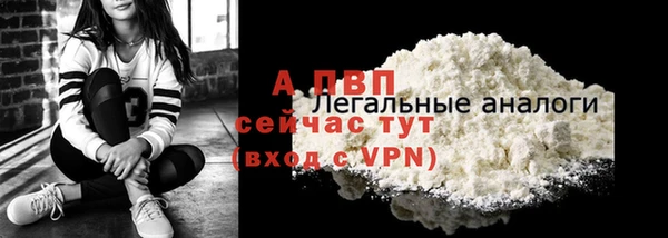 прущие грибы Няндома