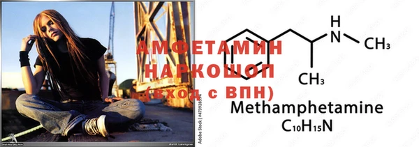 прущие грибы Няндома