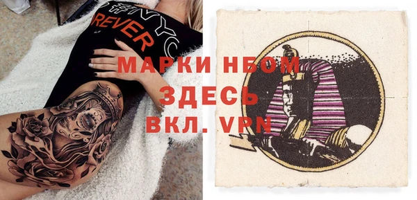 прущие грибы Няндома