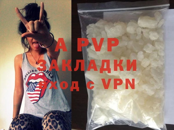 прущие грибы Няндома