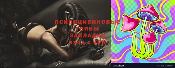 прущие грибы Няндома
