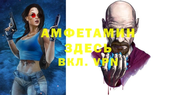 прущие грибы Няндома
